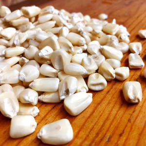 Bulk White Corn