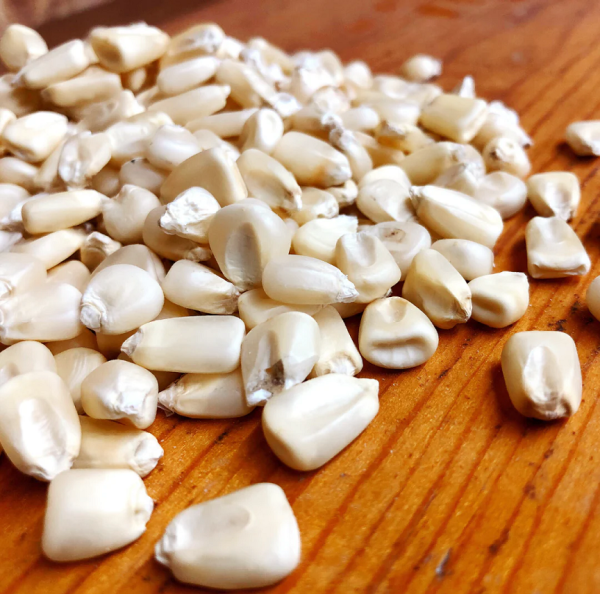 Bulk White Corn