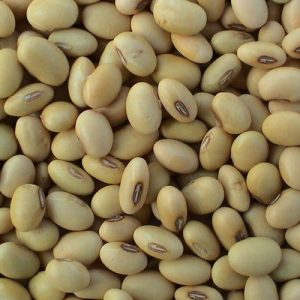 Wholesale Suppliers of Soybeans Tanzania