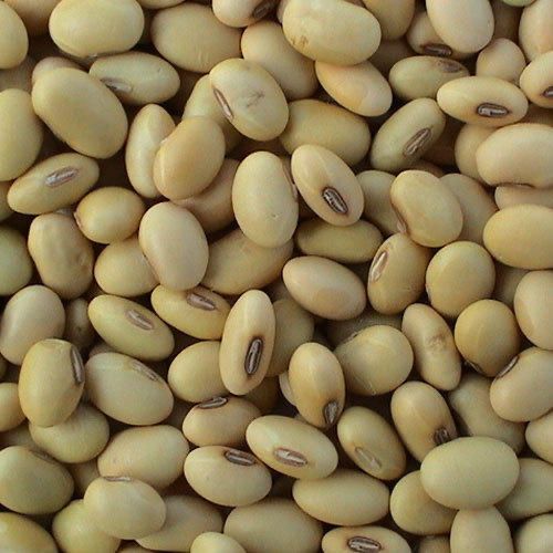 Wholesale Suppliers of Soybeans Tanzania