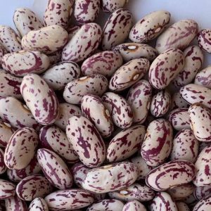 Wholesale Suppliers of Sugar Beans Tanzania